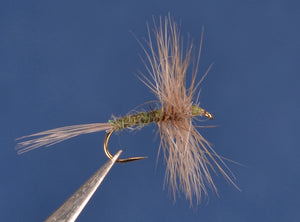 Flick's Blue Winged Olive