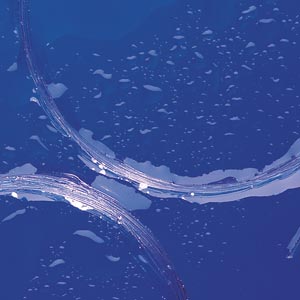 Royal Wulff Fluorocarbon Tippet