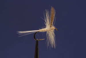 Light Cahill Traditional