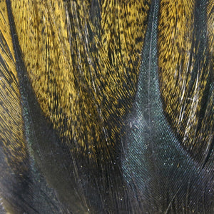 Gallo De Leon Saddle Feathers