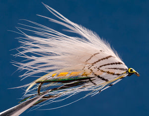 Gray Ghost Marabou
