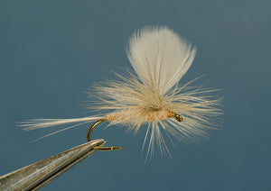 Hendrickson Sailwing Parachute