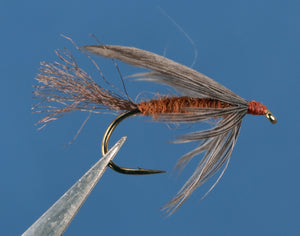 Isonychia Hen Wing Emerger