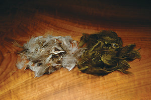 Hungarian Partridge Feathers