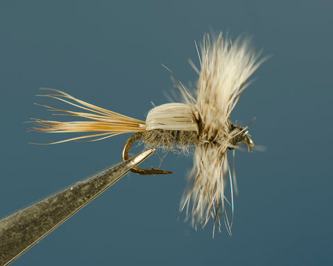 Traditional Dries – Dette Flies