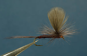 Isonychia Sail Wing Parachute