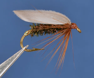 Leadwing Coachman Wet