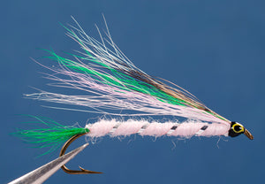 Little Rainbow Trout