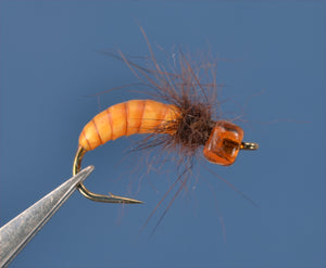 SN's October Caddis Pupa