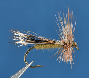 Chuck Caddis - Olive