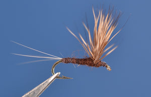 Paralep (Blue Quill) Comparadun