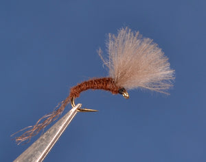 Paralep (Blue Quill) CDC Emerger