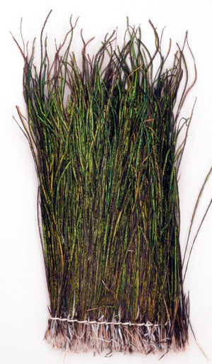 Strung Peacock Herl