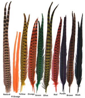 Ringneck Pheasant Tail Feathers