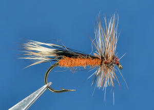 Chuck Caddis - Rust