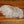 Silver Pheasant Body Feathers