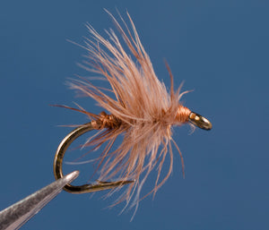 Stewart's Spider, Dun