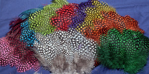 Strung Guinea Fowl Feathers