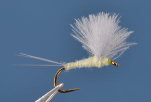 Sulphur CDC Comparadun