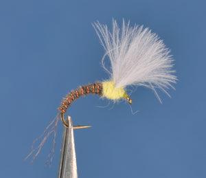 Sulphur CDC Trans Emerger