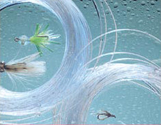 Royal Wulff Triangle Taper Saltwater Mono Clear Fly Line