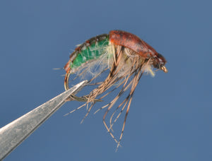 Nymph Skin