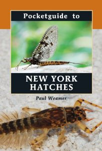 Pocket Guide to New York Hatches by Paul Weamer