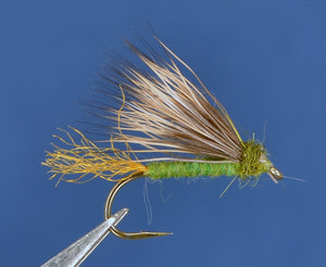 X Caddis - Apple