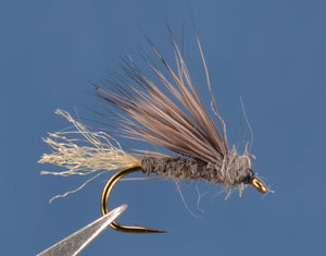 X Caddis - Gray Olive