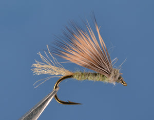X Caddis - Olive Gray