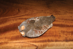 Hungarian Partridge Skin