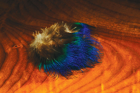 Hareline Blue Peacock Feather
