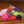 Medium UV Polar Chenille